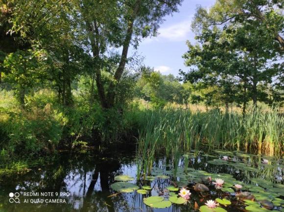 Jablkowo-Na Skraju Puszczy Boreckiej Sniadania W Cenie Jablonowo Exterior foto