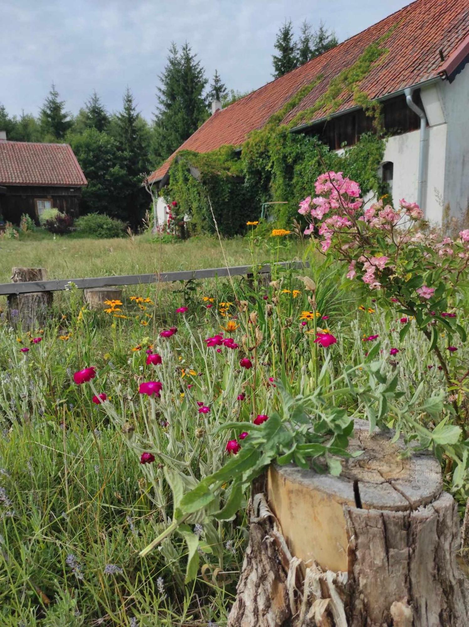 Jablkowo-Na Skraju Puszczy Boreckiej Sniadania W Cenie Jablonowo Exterior foto